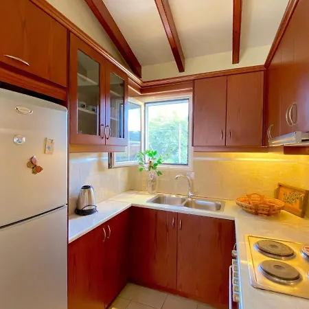 Asteraki Poolside By Dadovillas 公寓